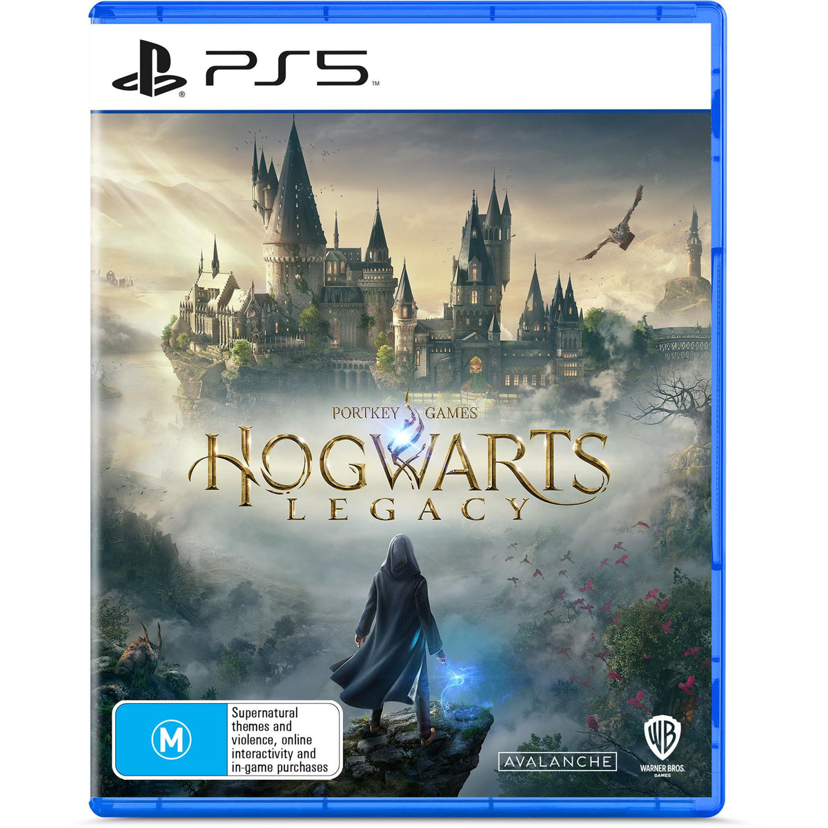 Hogwarts Legacy (PS5)