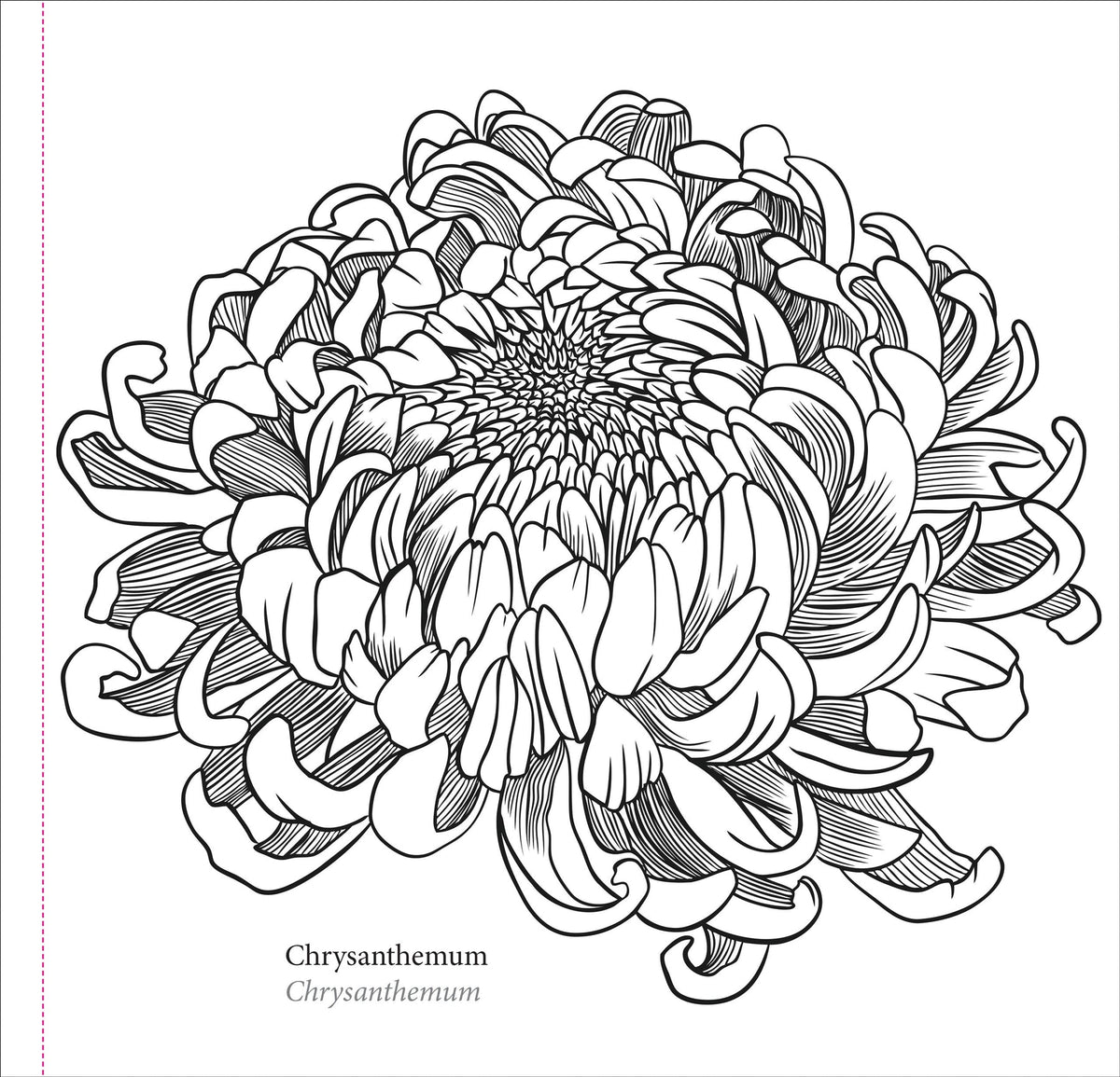 Spring Blooms Artist's Colouring Book (Peter Pauper Press)
