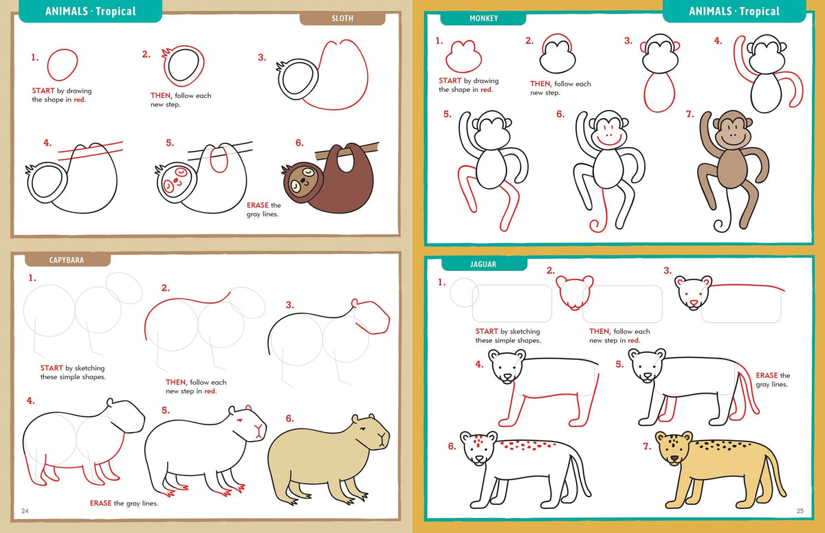 Learn to Draw... Everything! (Peter Pauper Press)