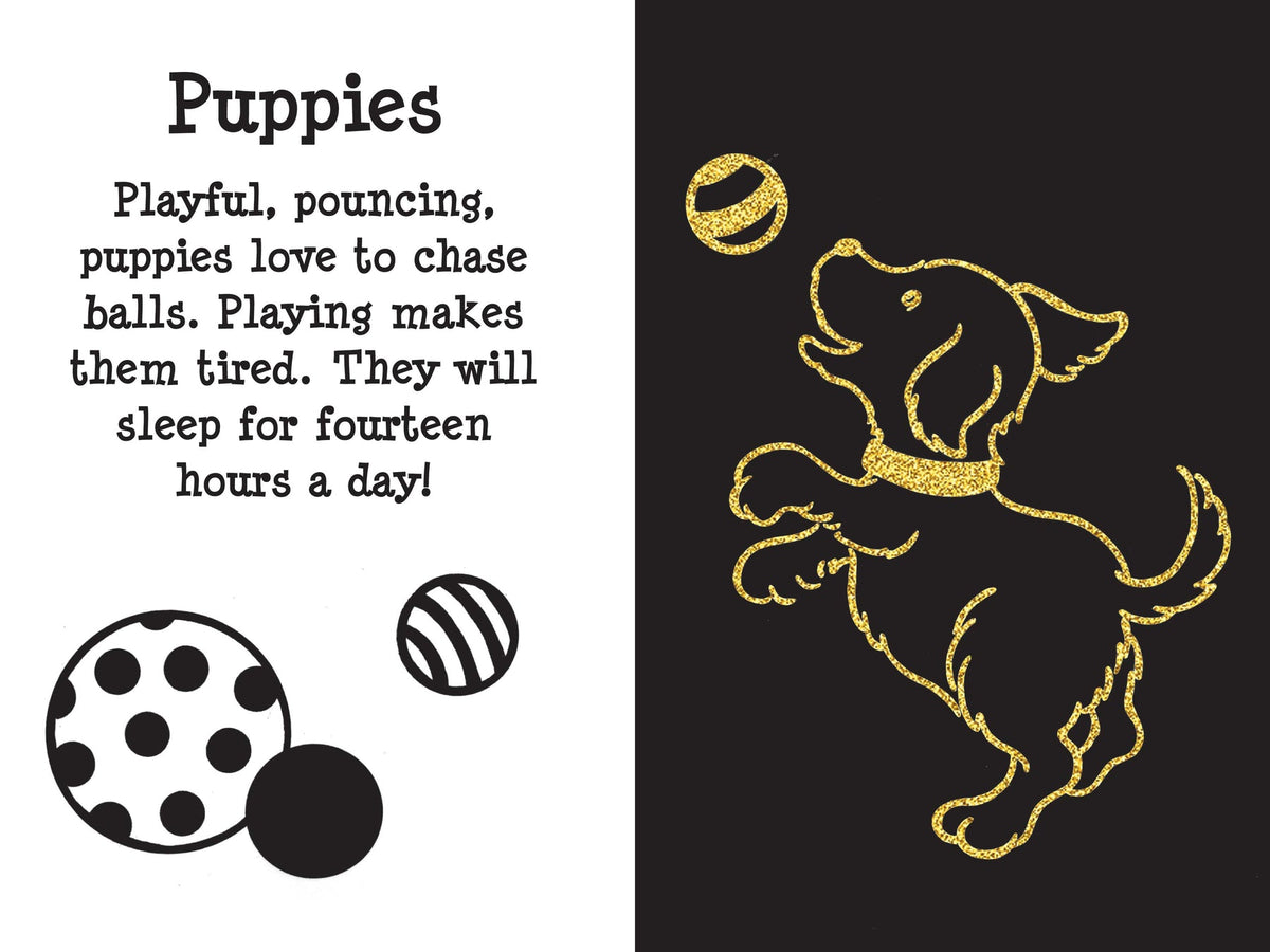 Peter Pauper Scratch & Sketch Furry Friends