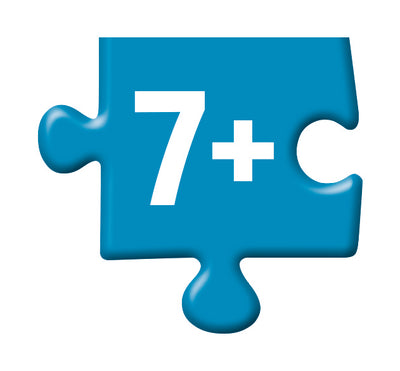 Age graded puzzles for 7 year olds and older