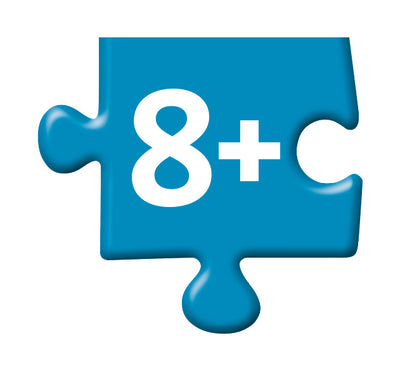 Age graded puzzles for 8 year olds and older