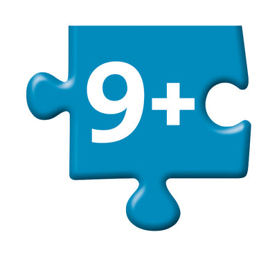 Age graded puzzles for 9 year olds and older