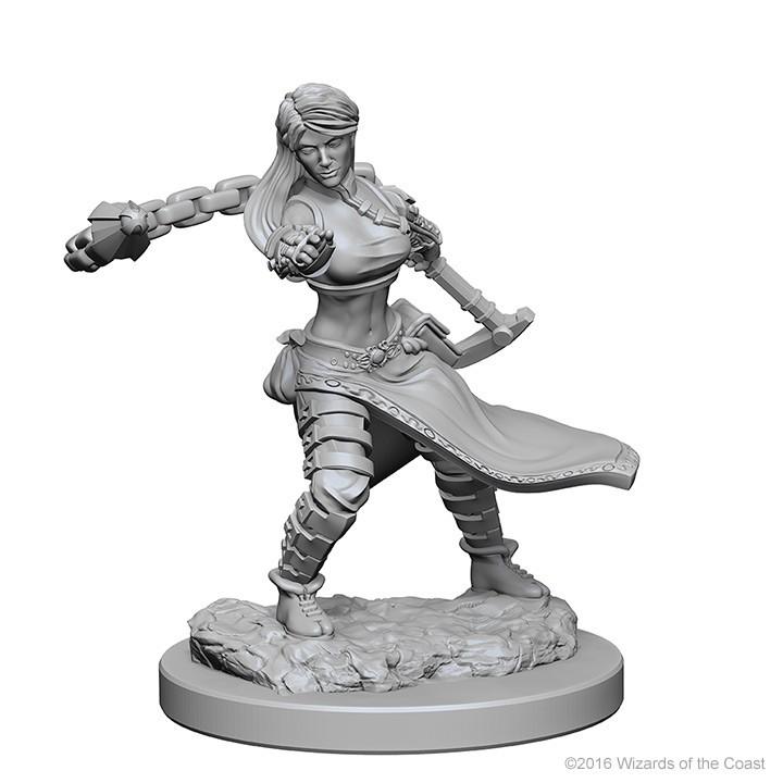 D&D - Human Female Monk (Nolzurs Marvelous Unpainted Miniatures)