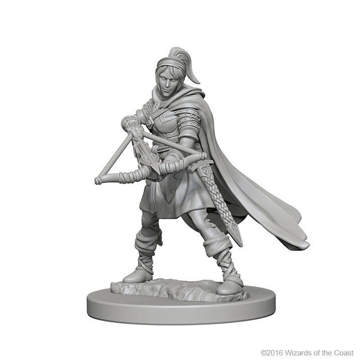 Human Ranger - Female (D&D Nolzurs Marvelous Unpainted Miniatures)