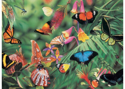 Blue Opal - Wild Aust Butterflies & Beetles 100pc