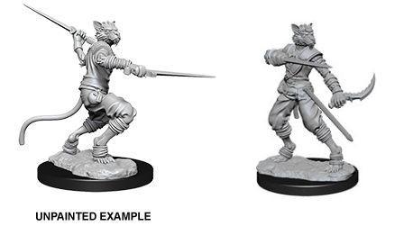 Tabaxi Rogue - Male (D&D Nolzurs Marvelous Unpainted Miniatures)