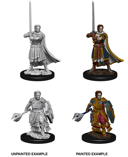 D&D - Male Human Cleric (Nolzurs Marvelous Unpainted Miniatures)