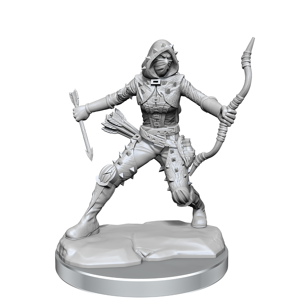 Human Rogue Female (D&D Frameworks)