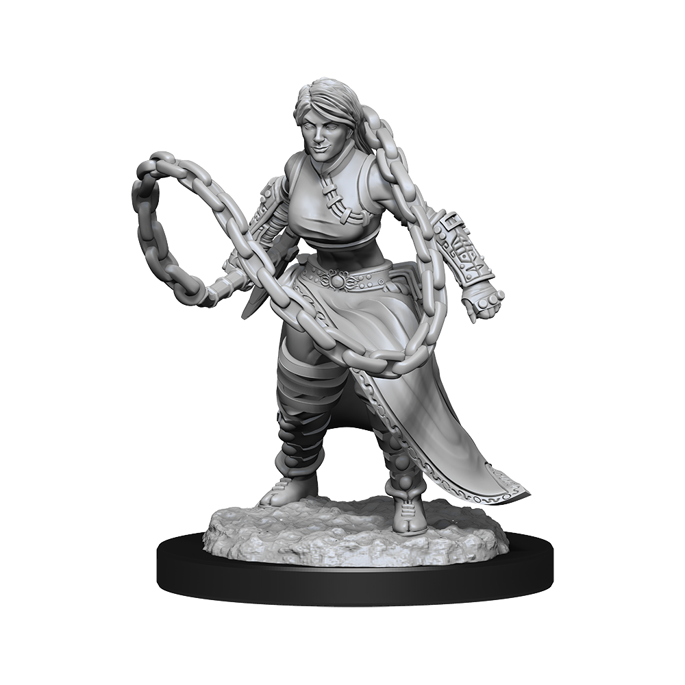 Human Monk Female (D&D Nolzurs Marvelous Unpainted Miniatures)