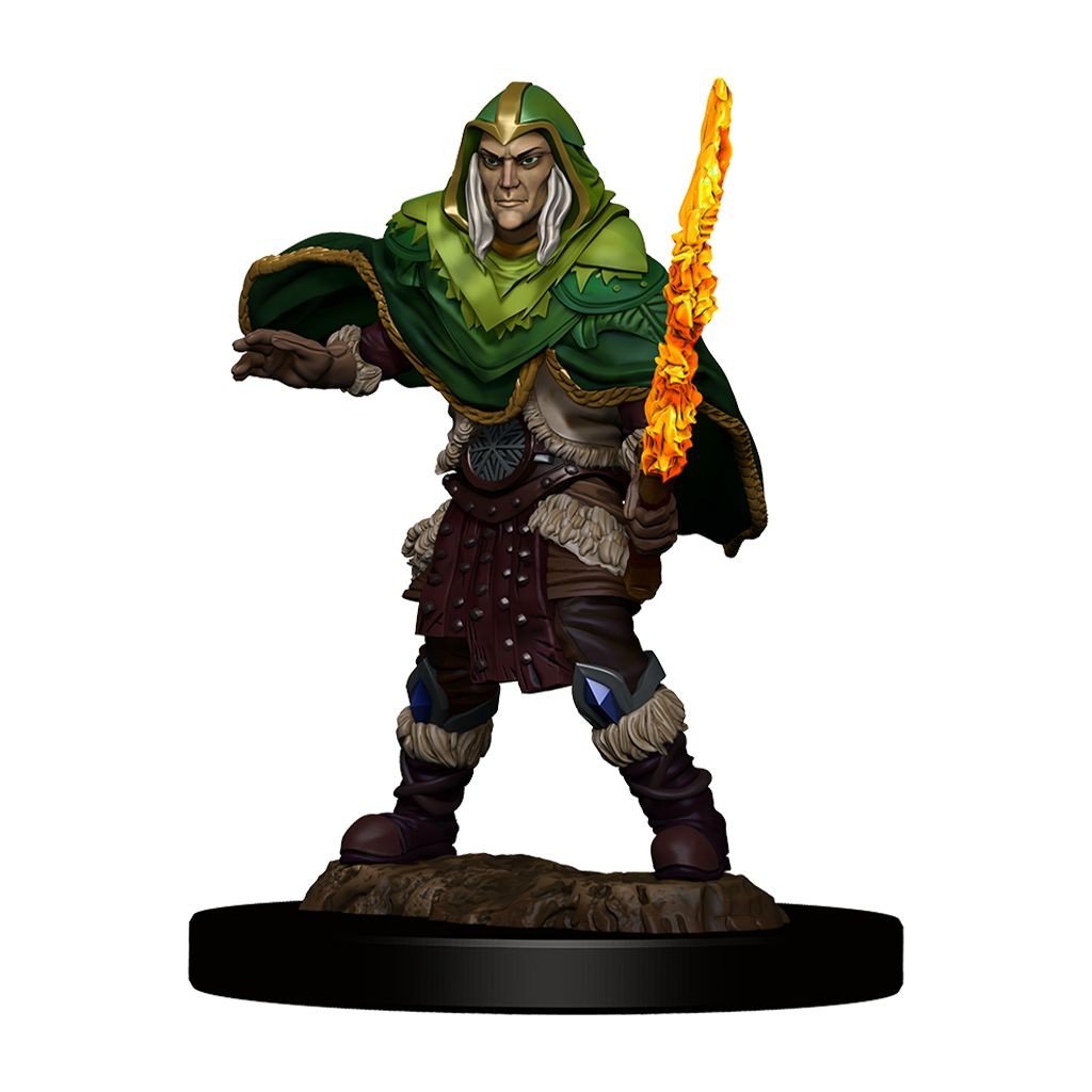 D&D - Elf Fighter Male (Premium Painted Figures)