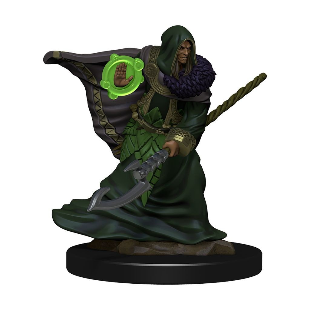 D&D - Elf Druid Male (Premium Painted Figures)