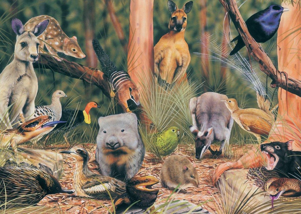 Blue Opal Garry Fleming On the Forest Floor 1000pc Puzzle