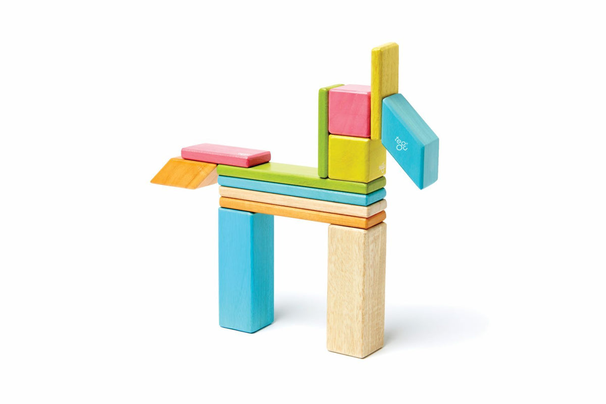 Tegu Magnetic Wooden Blocks - Classics 14 Pieces