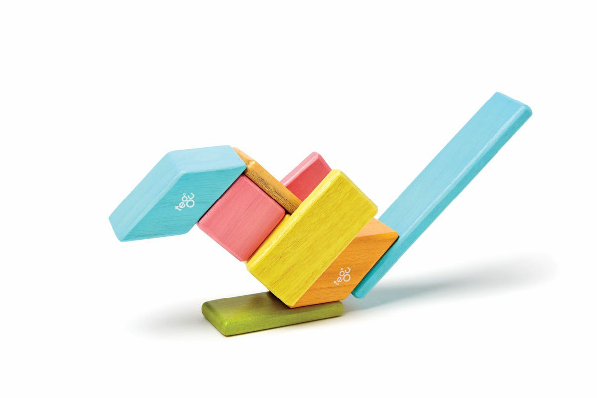 Tegu Magnetic Wooden Blocks - Classics 14 Pieces