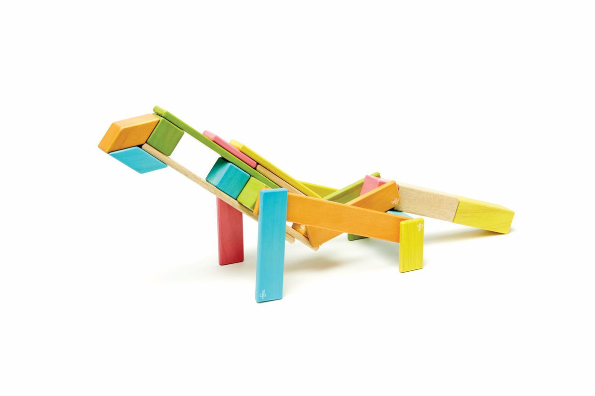 Tegu Magnetic Wooden Blocks - Classics 24 Pieces