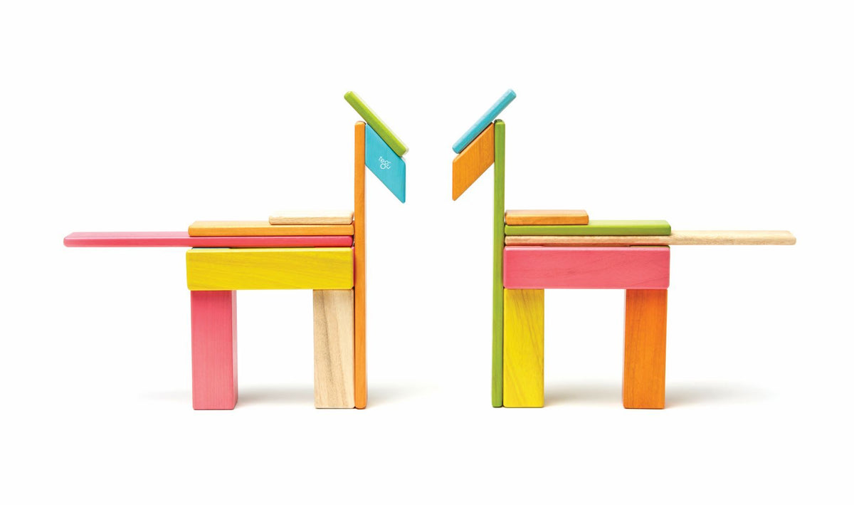 Tegu Magnetic Wooden Blocks - Classics 24 Pieces