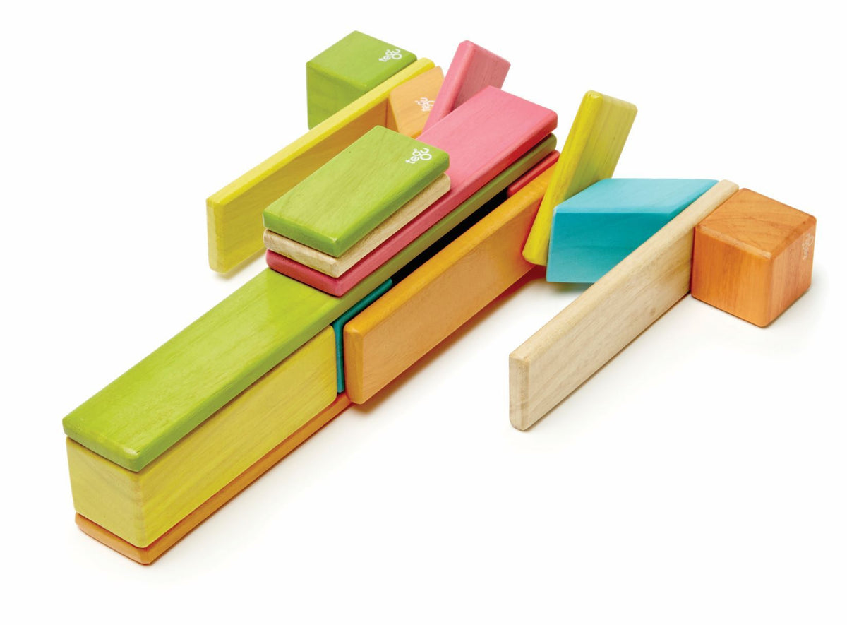 Tegu Magnetic Wooden Blocks - Classics 24 Pieces