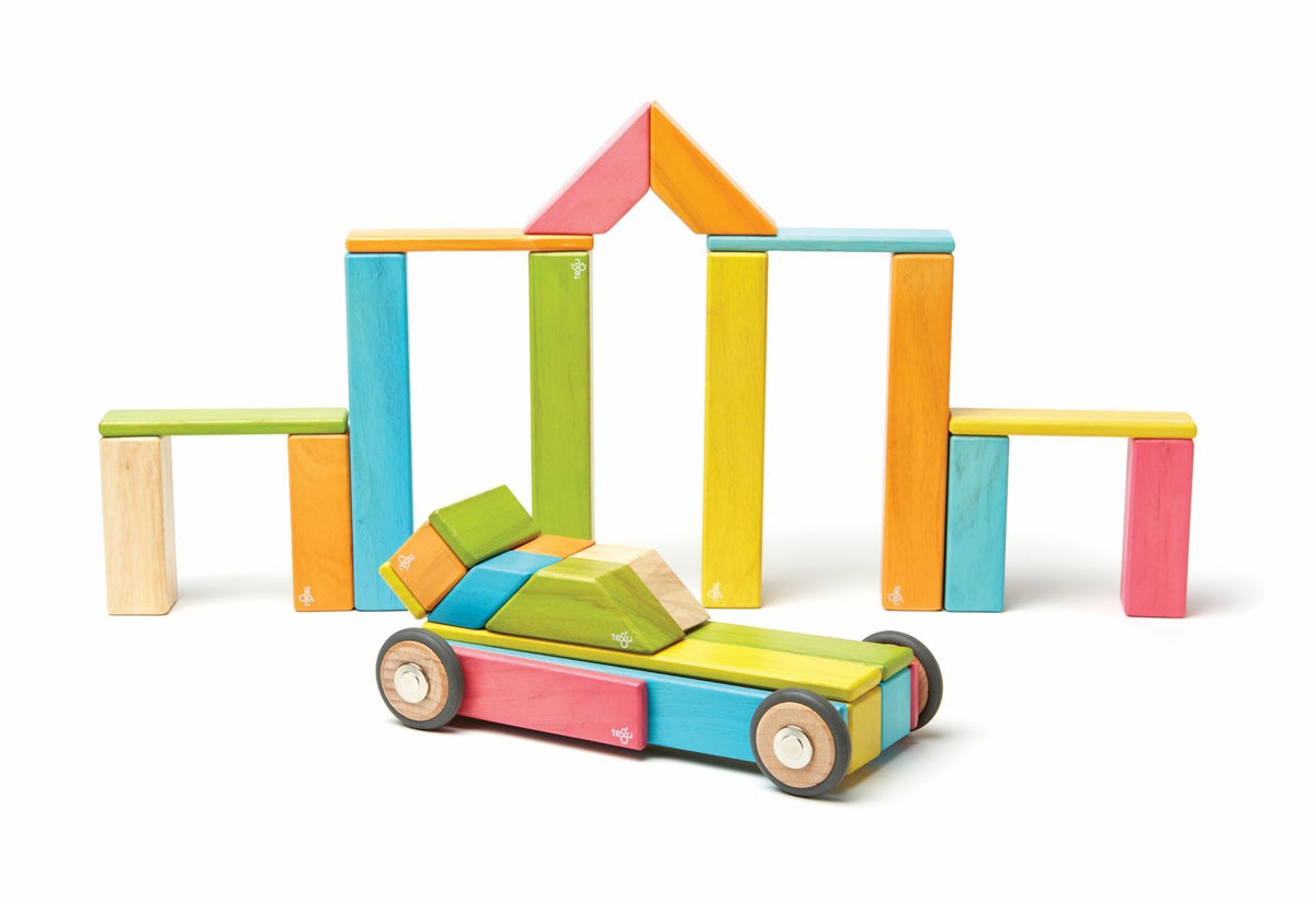 Tegu Magnetic Wooden Blocks - Classics 42 Pieces