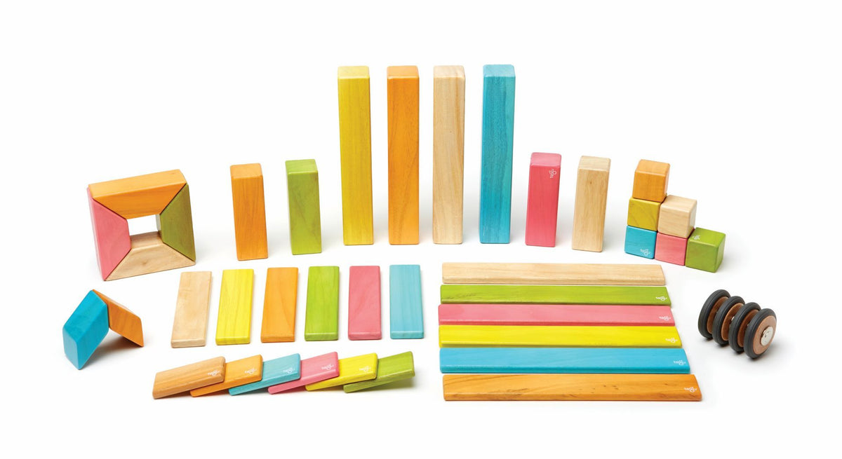 Tegu Magnetic Wooden Blocks - Classics 42 Pieces