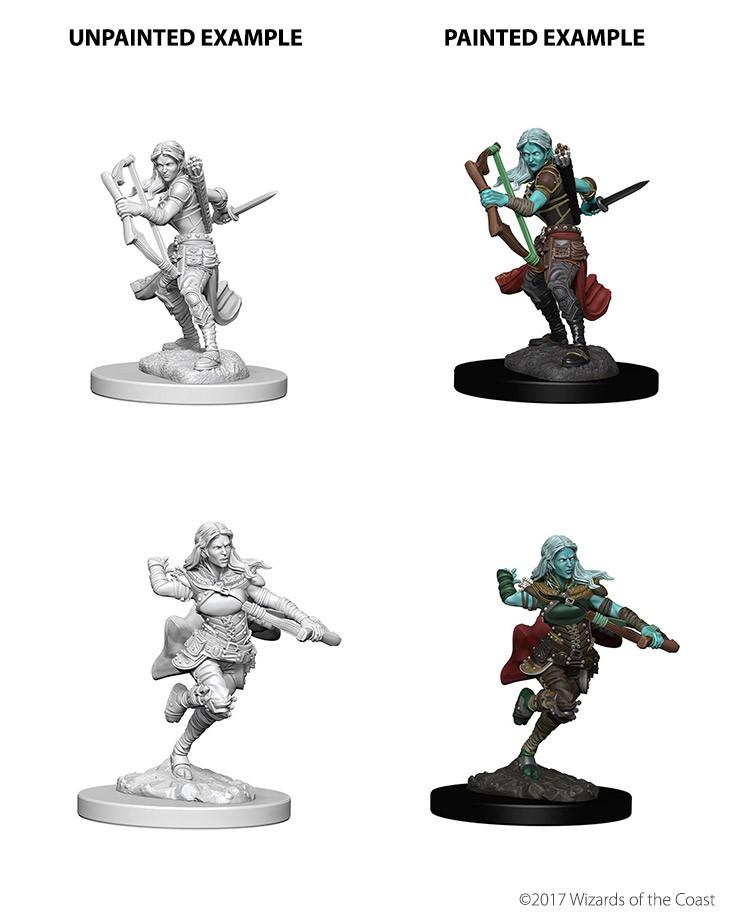 D&D - Air Genasi Female Rogue (Nolzurs Marvelous Unpainted Miniatures)