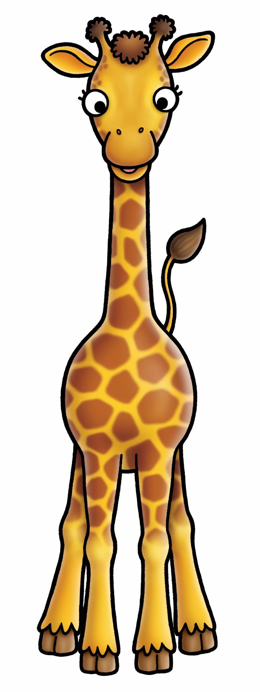 Orchard Game - Jungle Heads And Tails