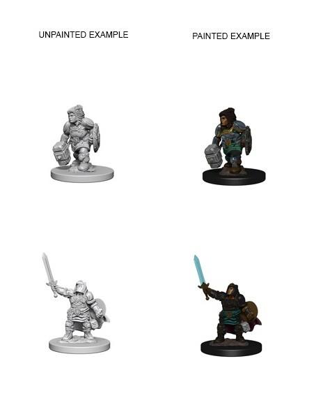D&D - Dwarf Female Paladin (Nolzurs Marvelous Unpainted Miniatures)