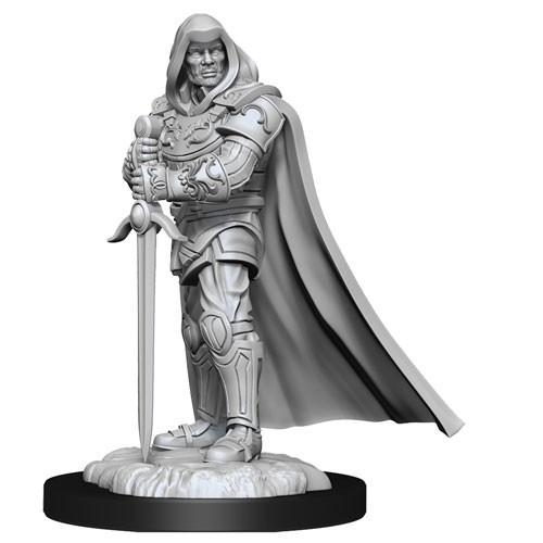 D&D - Human Paladin Male (Nolzurs Marvelous Unpainted Miniatures)