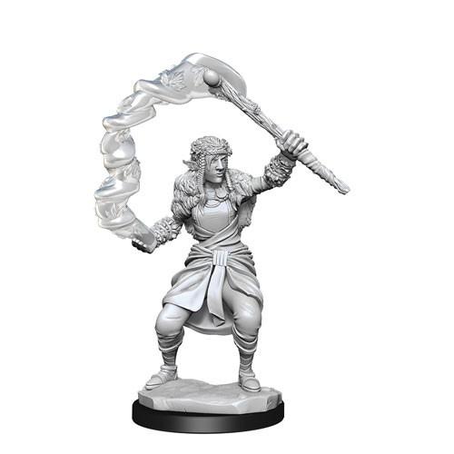 Firbolg Druid - Female (D&D Nolzurs Marvelous Unpainted Miniatures)