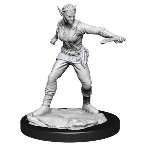 D&D - Shifter Female Rogue (Nolzurs Marvelous Unpainted Miniatures)