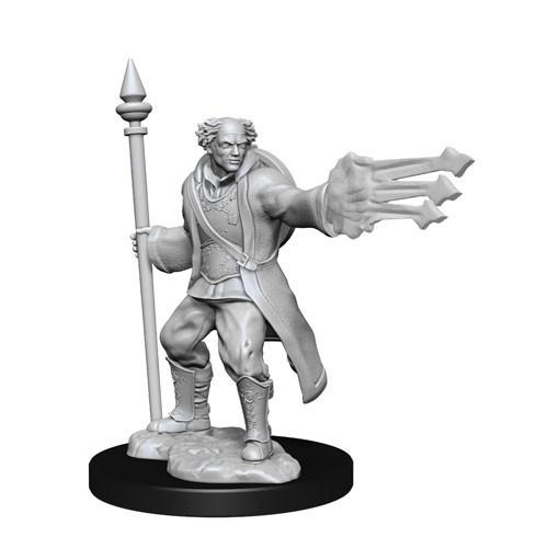 Multiclass Cleric + Wizard - Male (D&D Nolzurs Marvelous Unpainted Miniatures)