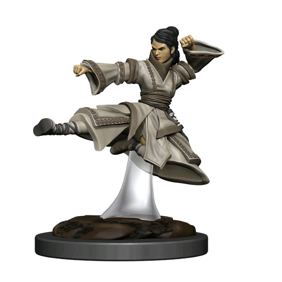 D&D - Human Monk Female (Premium Painted Figures)