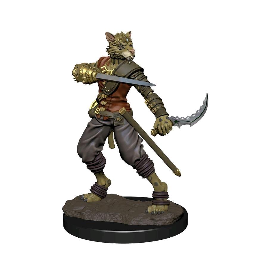 D&D - Tabaxi Rogue Male (Premium Painted Figures)