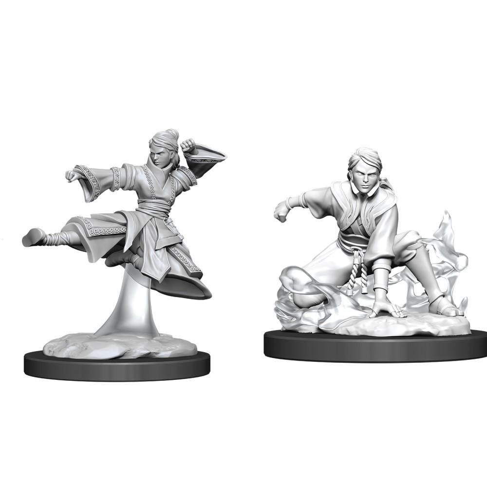 D&D - Female Human Monk (Nolzurs Marvelous Unpainted Miniatures)
