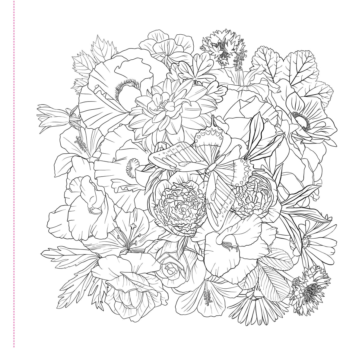 Wildflowers Adult Colouring Book [Peter Pauper Press]