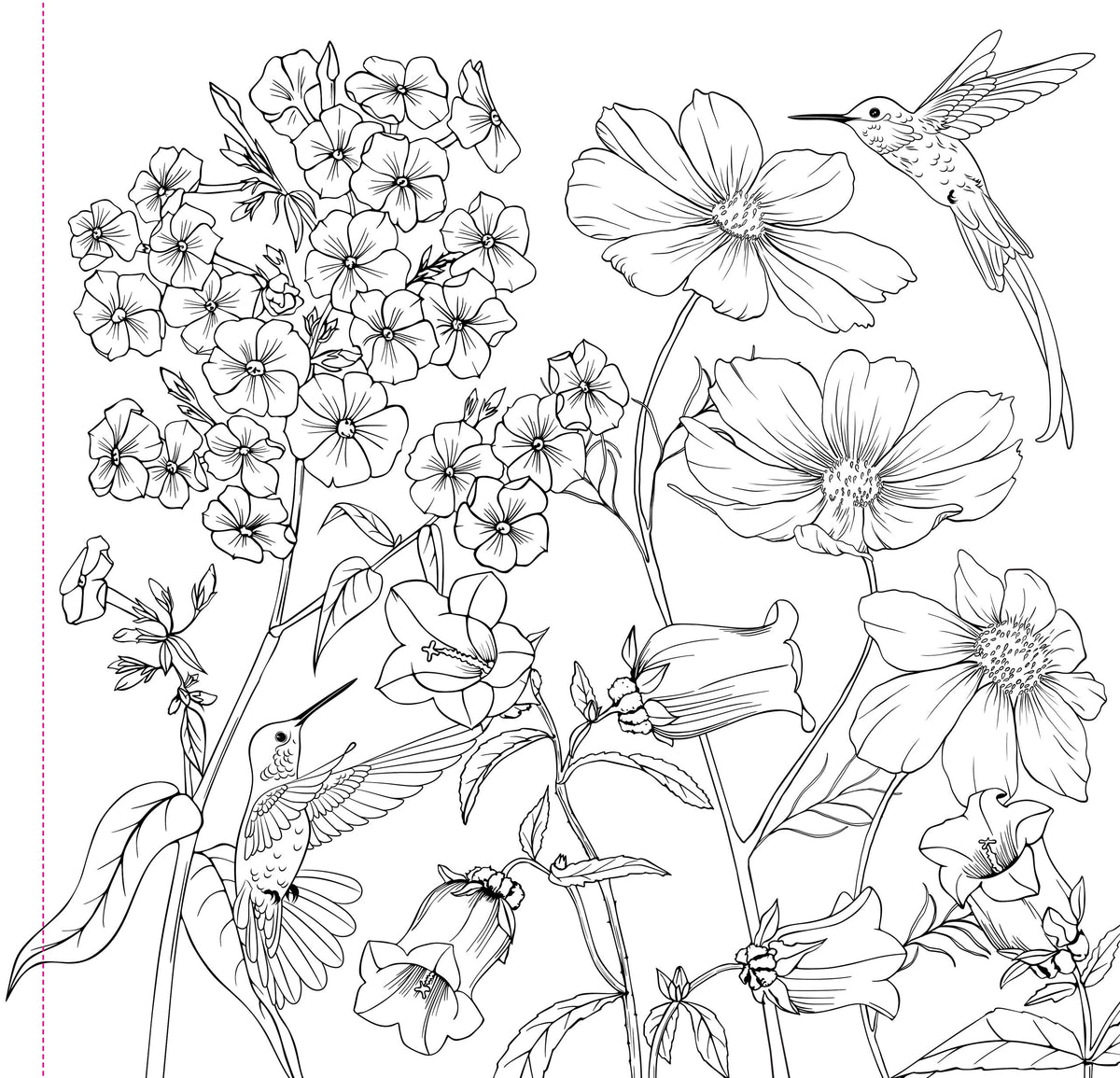 Wildflowers Adult Colouring Book [Peter Pauper Press]