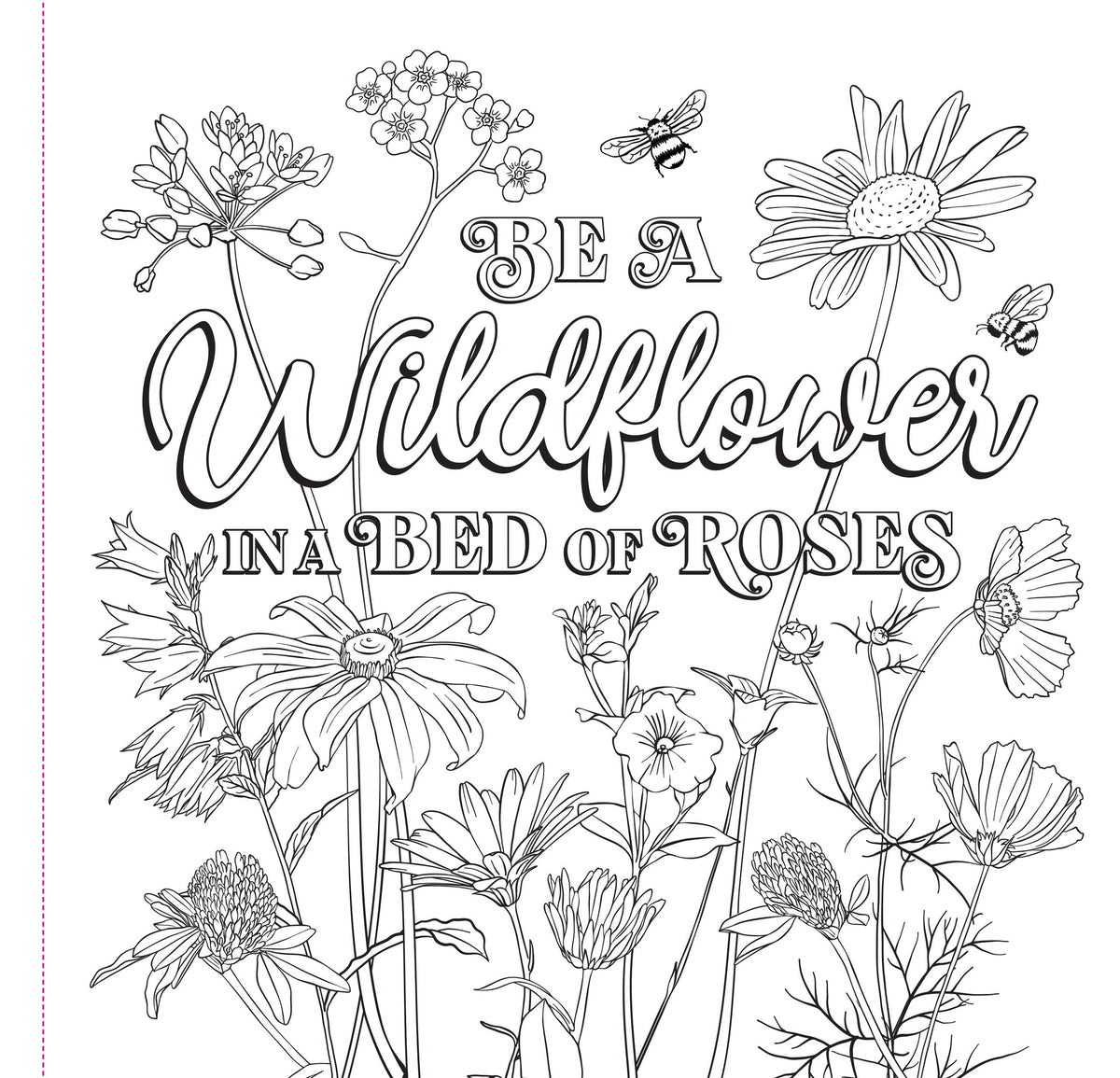 Wildflowers Adult Colouring Book [Peter Pauper Press]