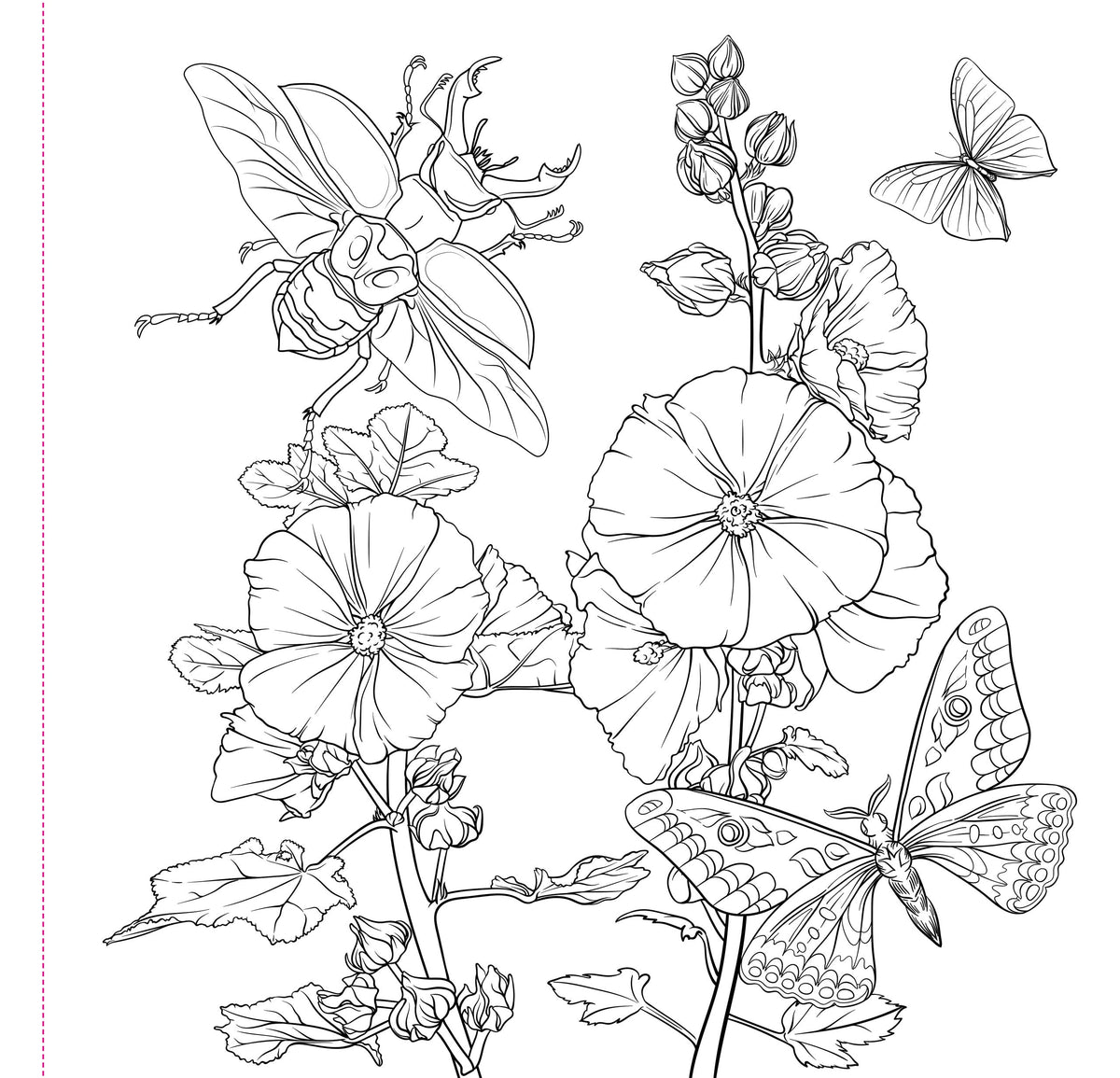 Goth Garden Adult Colouring Book [Peter Pauper Press]
