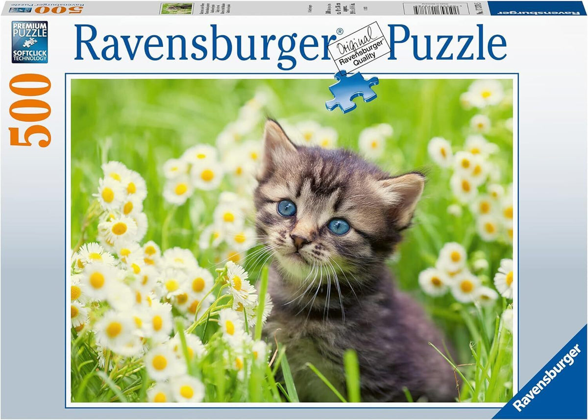 Cats Photo 500pc [Ravensburger Puzzle]