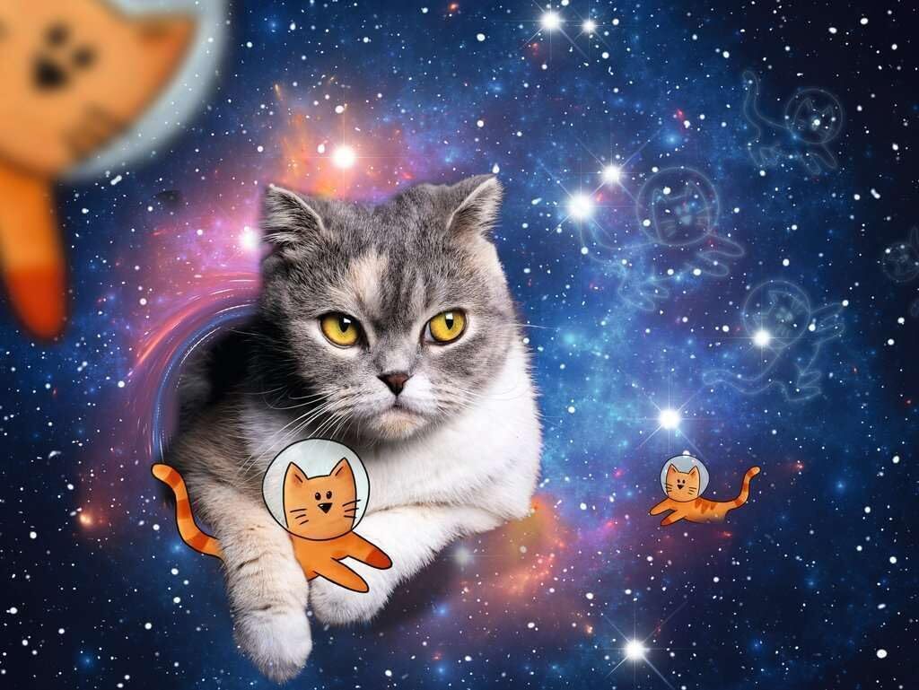Cats Flying to Outer Space 1500pc [Ravensburger Puzzle]