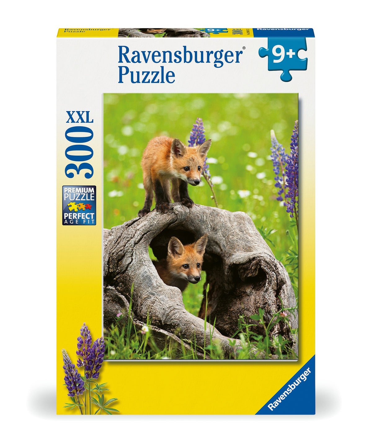 Curious Foxes 300pc [Ravensburger Puzzle]