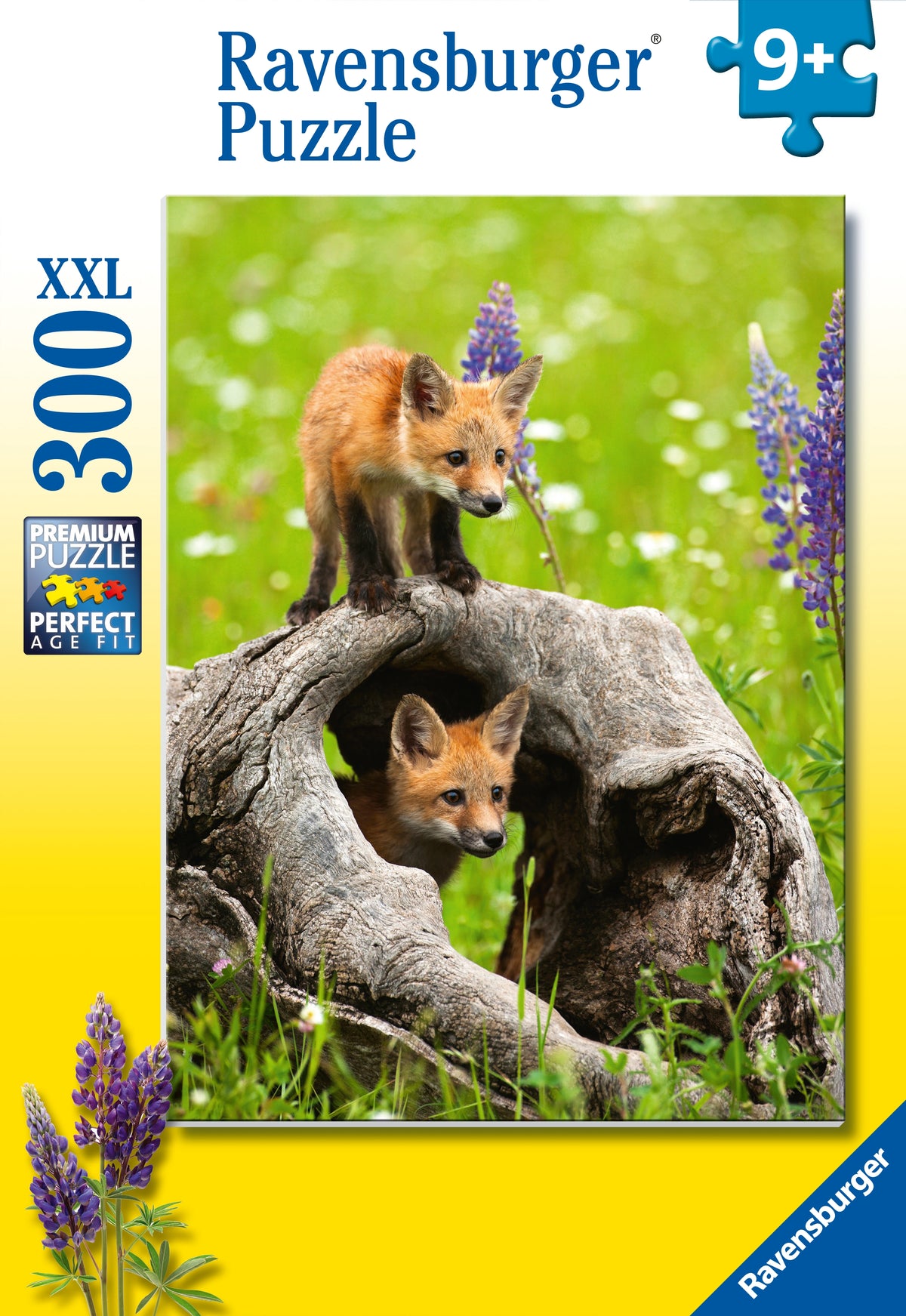 Curious Foxes 300pc [Ravensburger Puzzle]