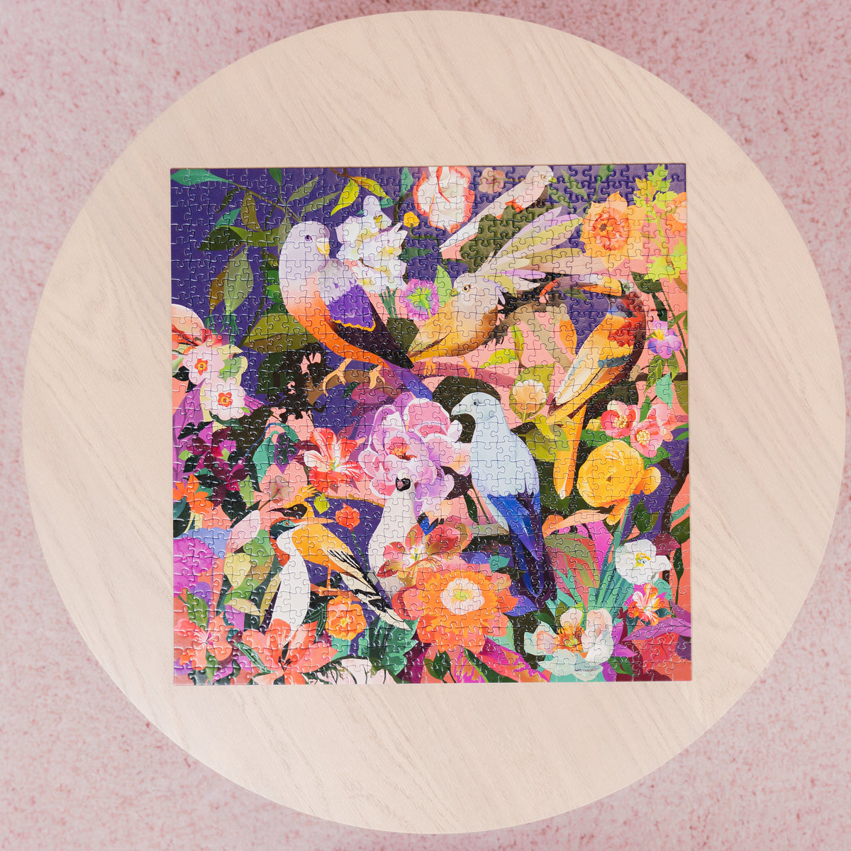 Art & Soul: Bird Watching 750pc [Ravensburger Puzzle]