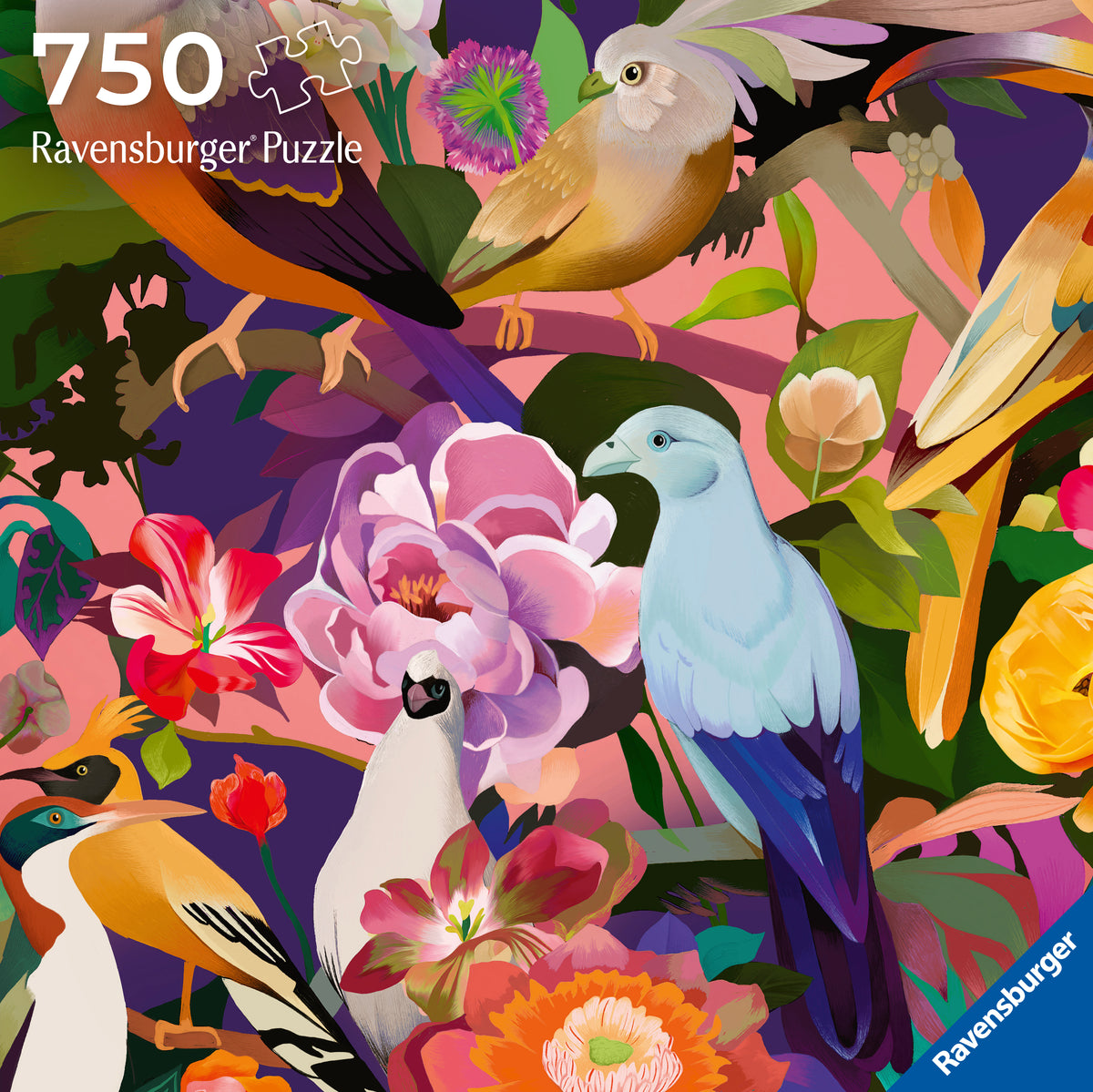 Art & Soul: Bird Watching 750pc [Ravensburger Puzzle]