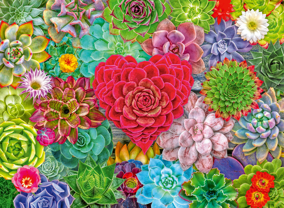 Succulent Love 500pc [Ravensburger Puzzle]