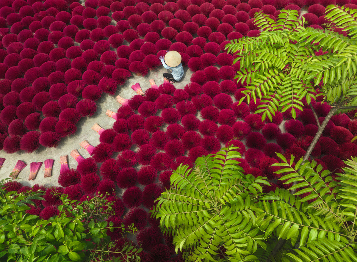 A Sea of Red 500pc [Ravensburger Puzzle]