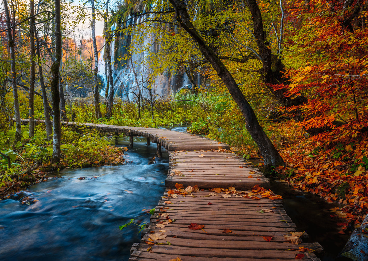 Beautiful Walkways: Autumnal Forest Path 1000pc [Ravensburger Puzzle]