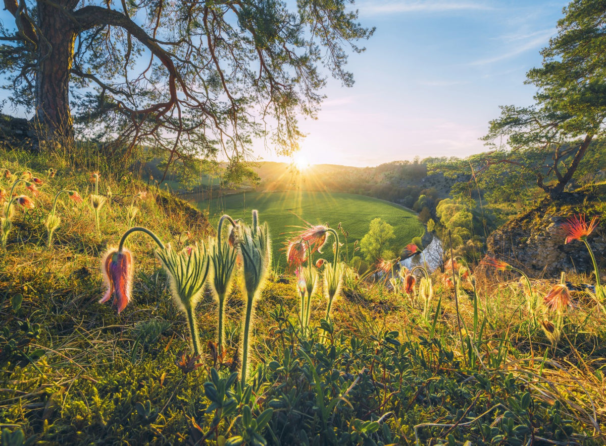 Four Seasons 4x500pc [Ravensburger Puzzle]