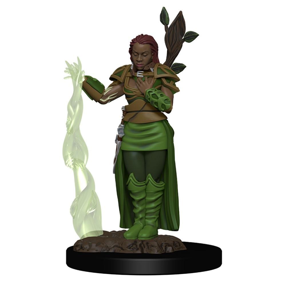 D&amp;D - Human Female Druid (Premium Painted Figures)