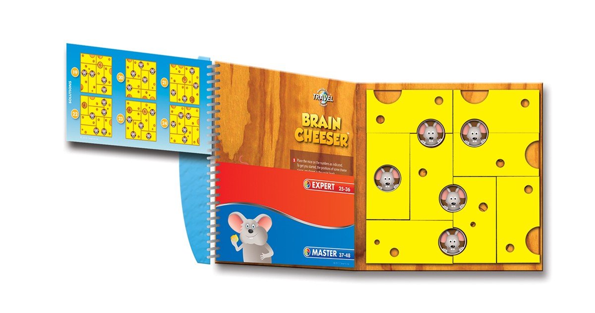 Magnetic Travel - Brain Cheeser